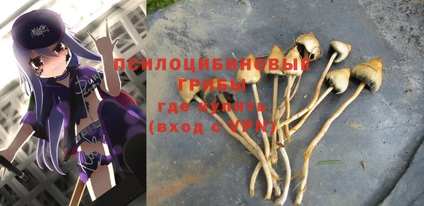 гидра Армянск